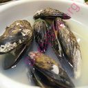 mussel (Oops! image not found)